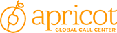 Логотип Apricot Global